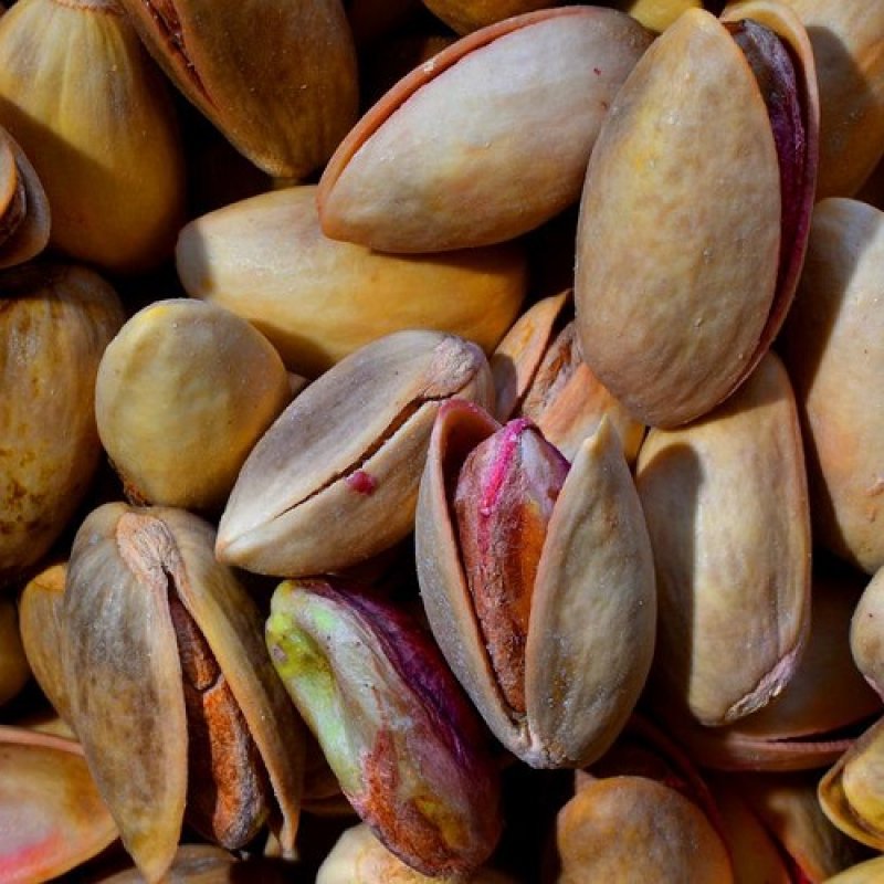  Pistacia Vera, Pistácia ´PETERS´, kont. C10L, výška: 120-150 cm (-13°C) - SAMEC - NA KMIENKU